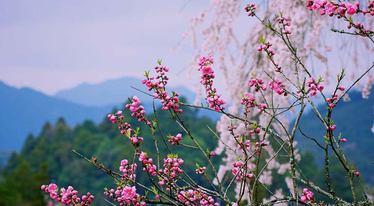 平時の神