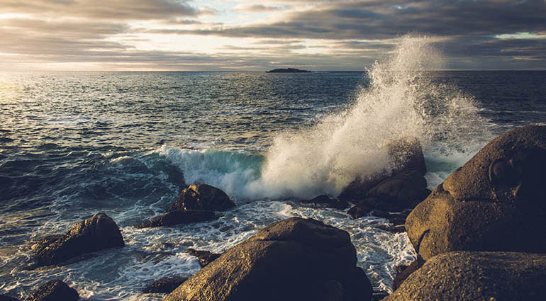 Crecer en el viento