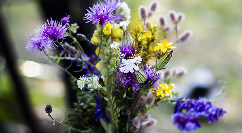 Des fleurs pour toujours