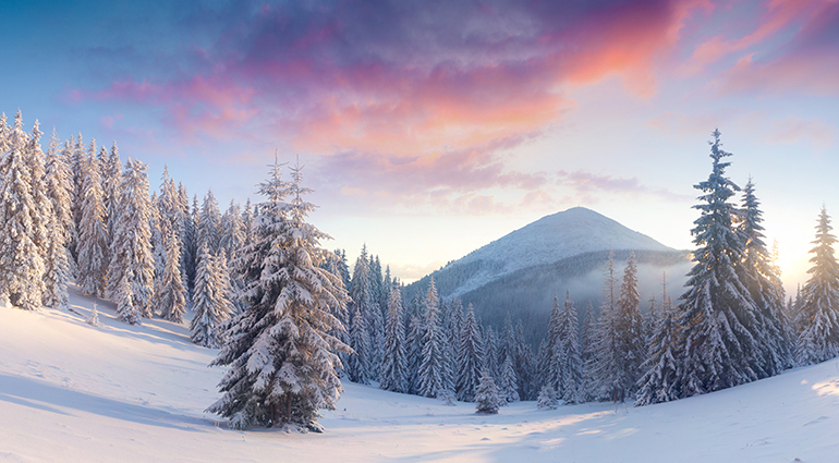 Weiß wie Schnee