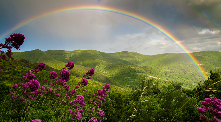 Standing on the Promises By David H. Roper  06-770x425