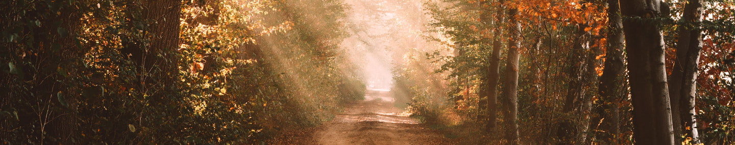 Vivre comme si c’était le matin