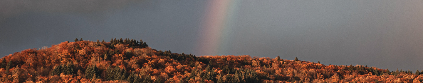 Regenbogen der Hoffnung