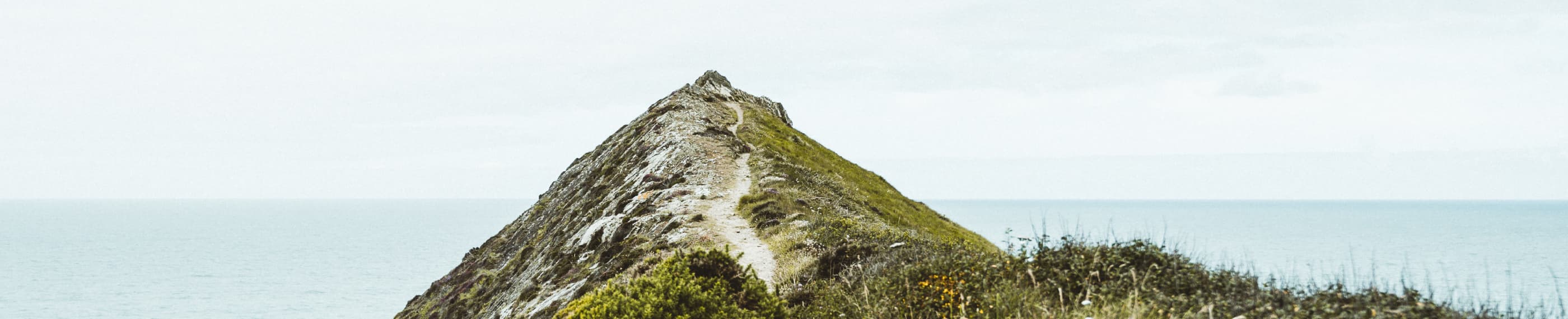 Chercher et secourir