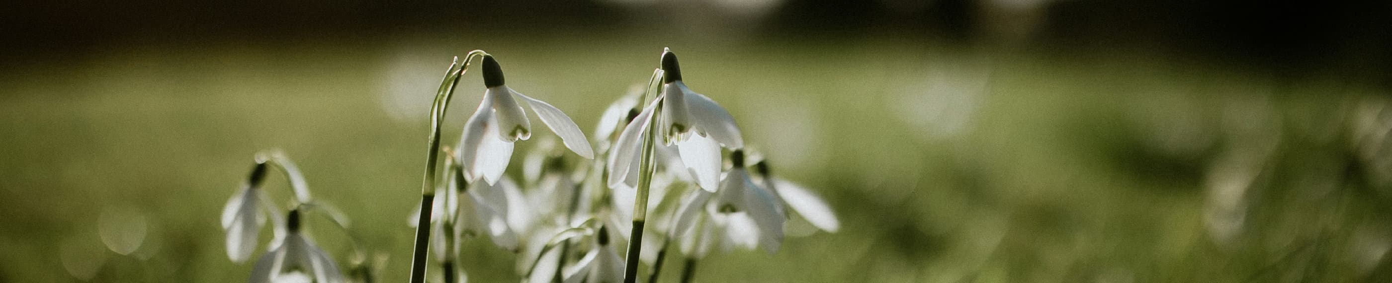 Humble, mais aimé de Dieu