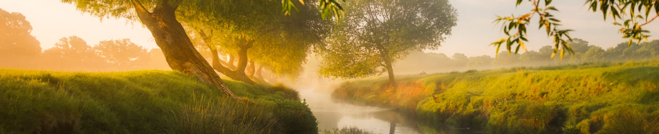 Hints of God’s Glory