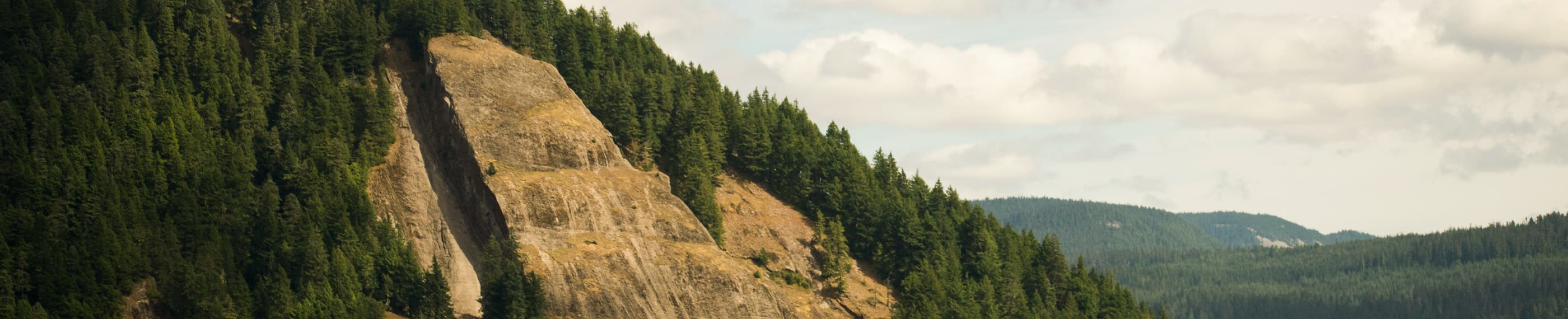 В першу чергу