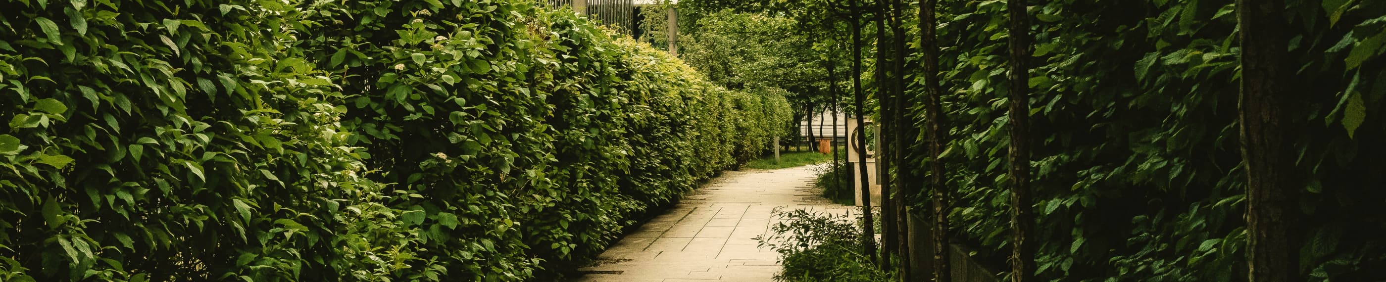 Все це – дарунок!