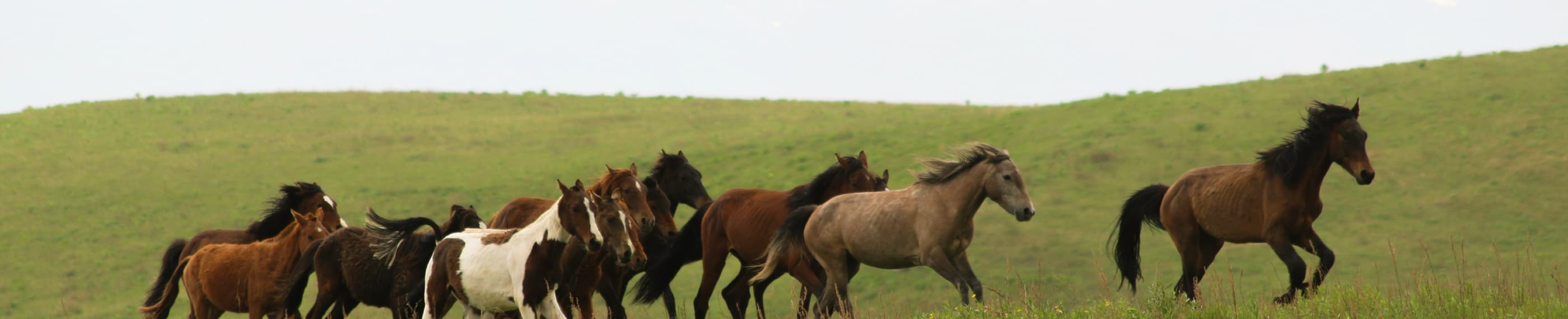 人を知り、人を愛する