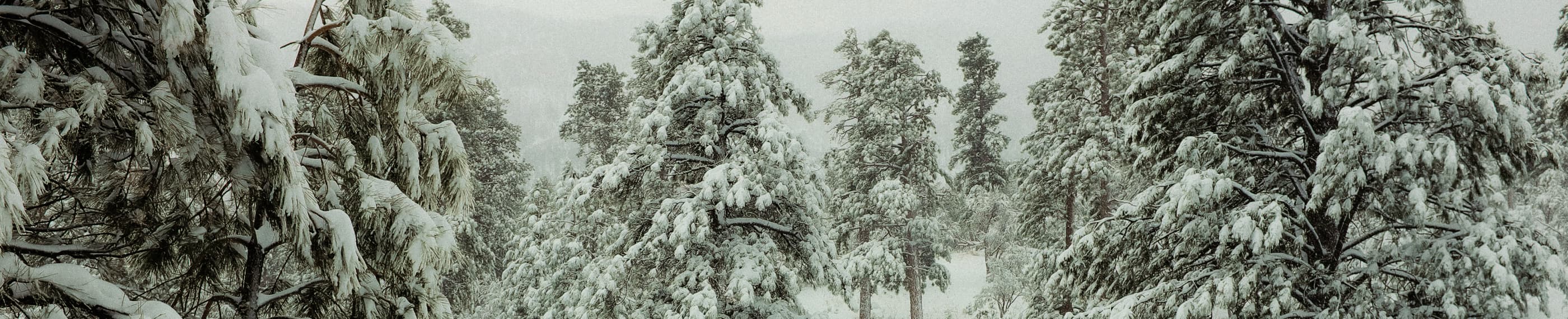 孤独を神と共に生きる