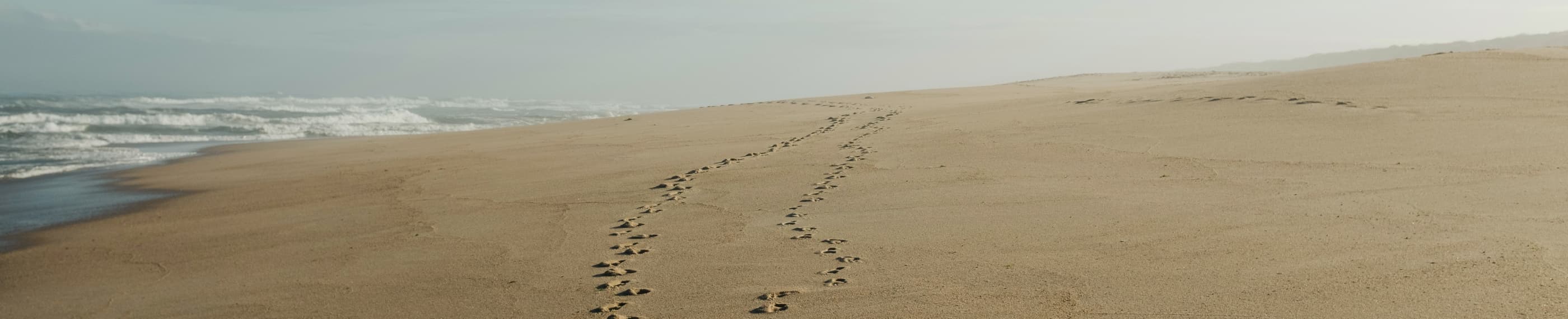 神の民を送ってください