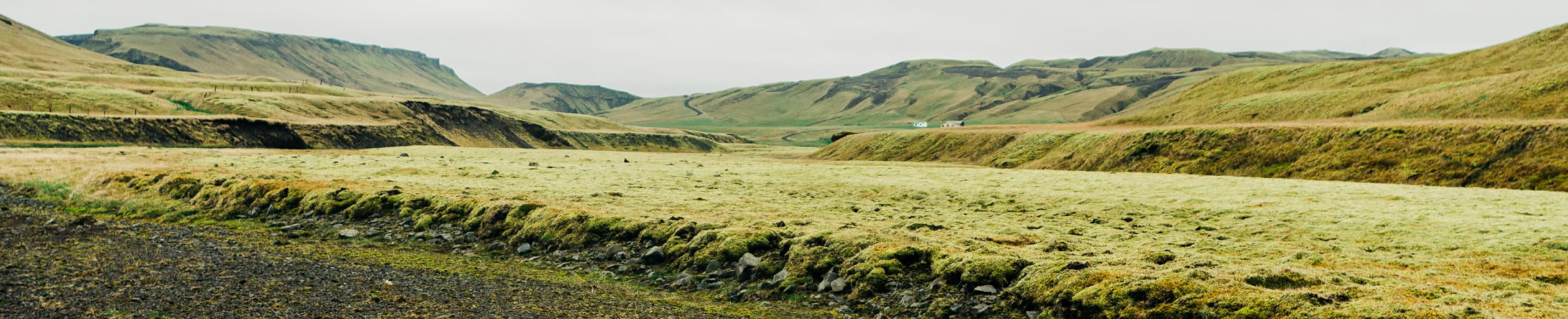 えこひいきはダメ