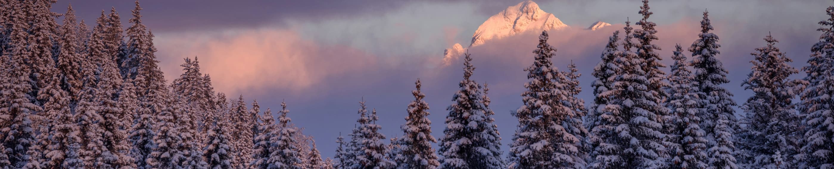 恐れから喜びへ