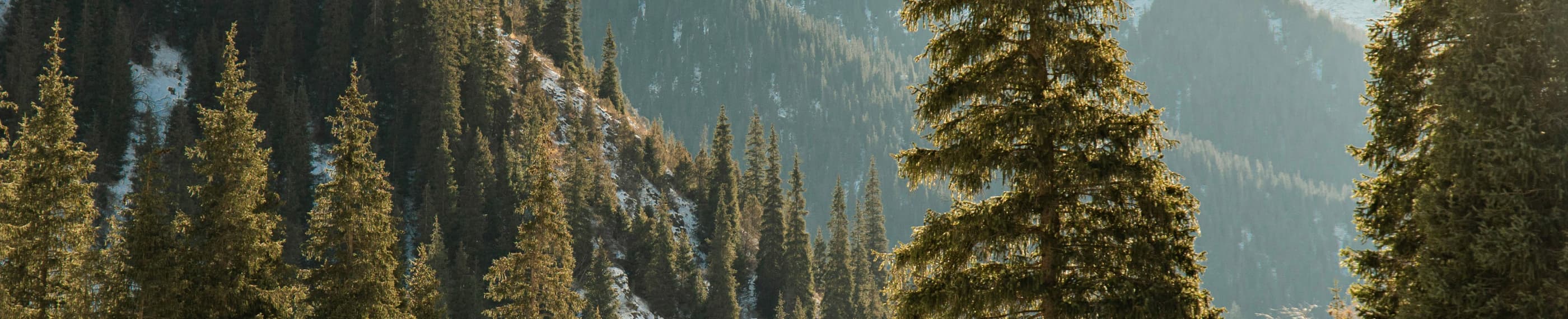 イエスは偉大な贈り物