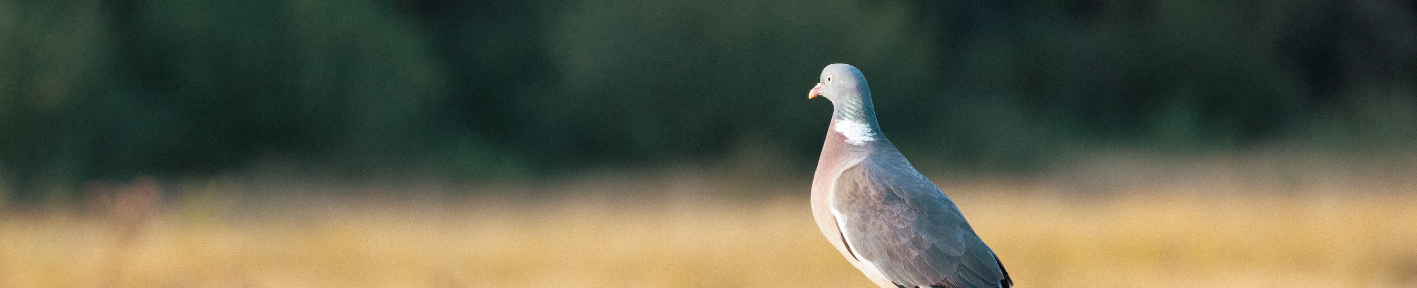 神を知ろうと目を開く