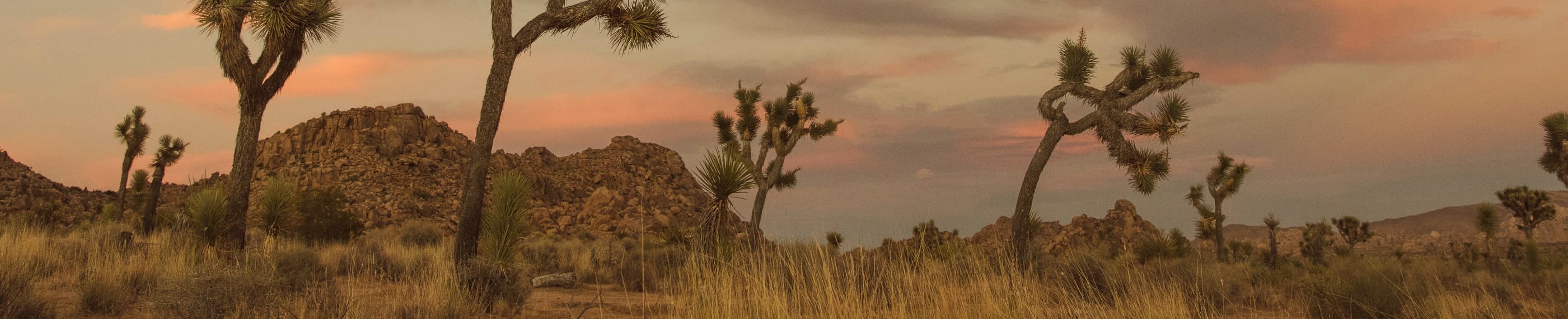 စံးဘျုးယွၤလၢ အတၢ်ဟ့ၣ်တဖၣ်အဃိ