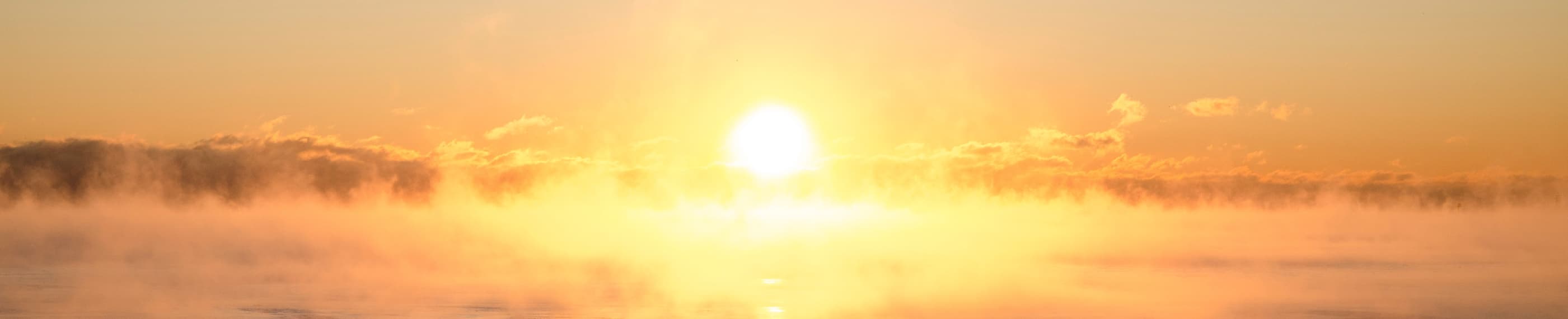 ဖီၣ်ဟံးဃာ် ကစၢ်ယွၤ