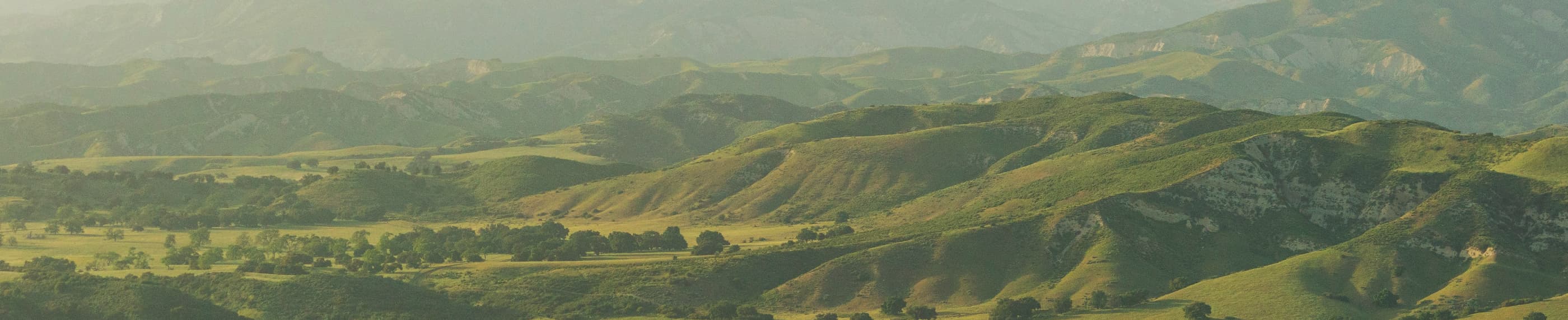 広い心を与えられた