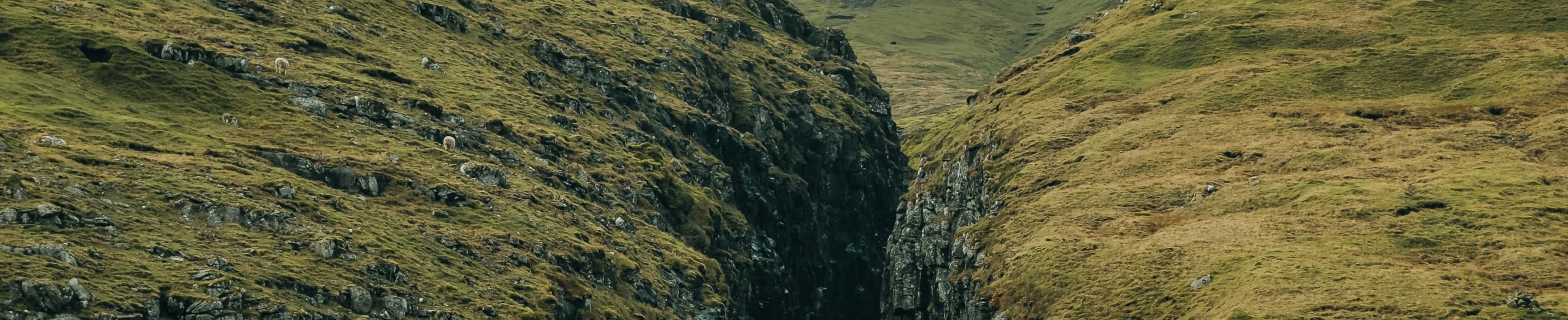 互いの渇望が満たされる