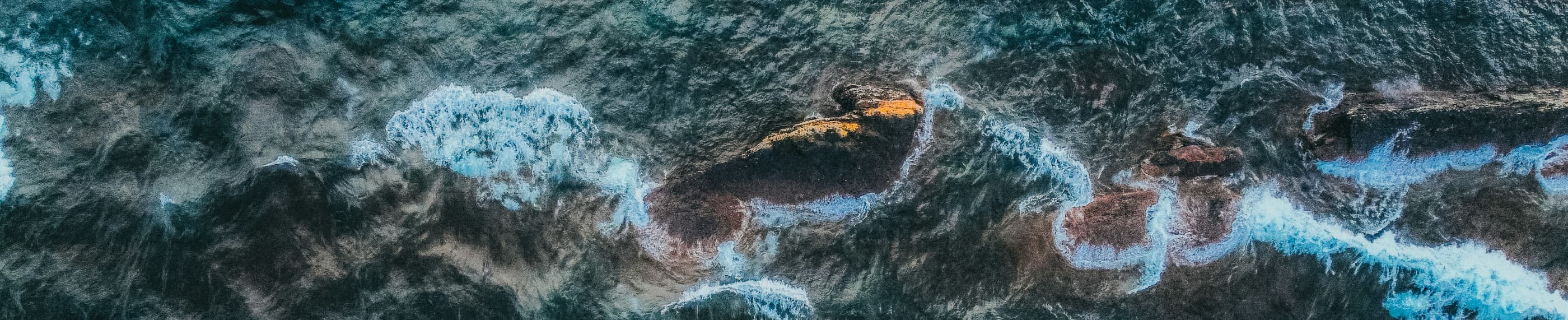 神の憐れみで生き残った人々