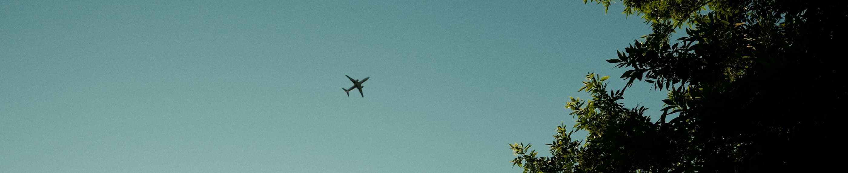 イエスのように