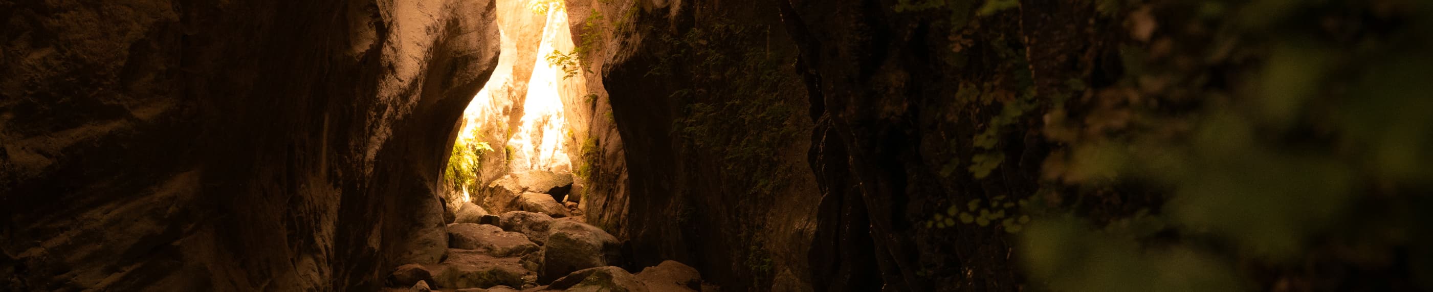 信仰ゆえの希望