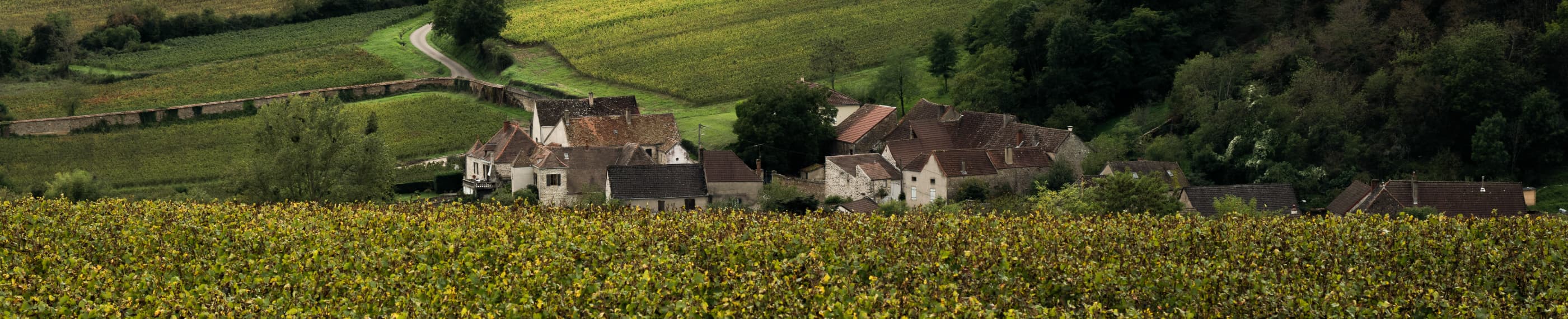 परमेश्वर के अनुग्रह का उपहार