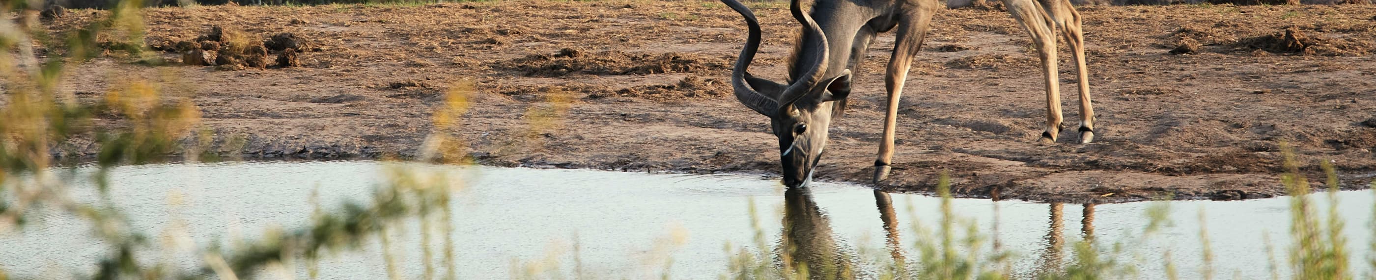 ध्यान रखते हुए साझा करना