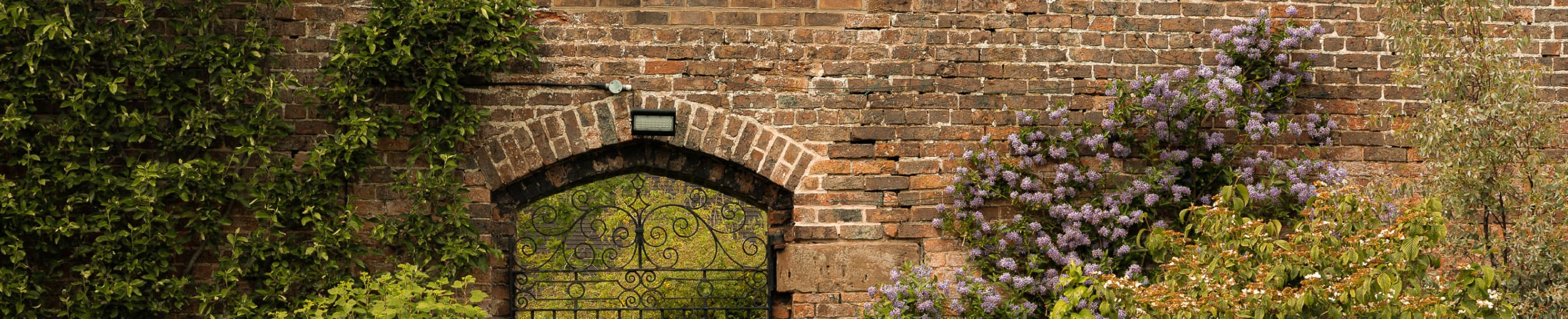 へりくだりイエスに従う