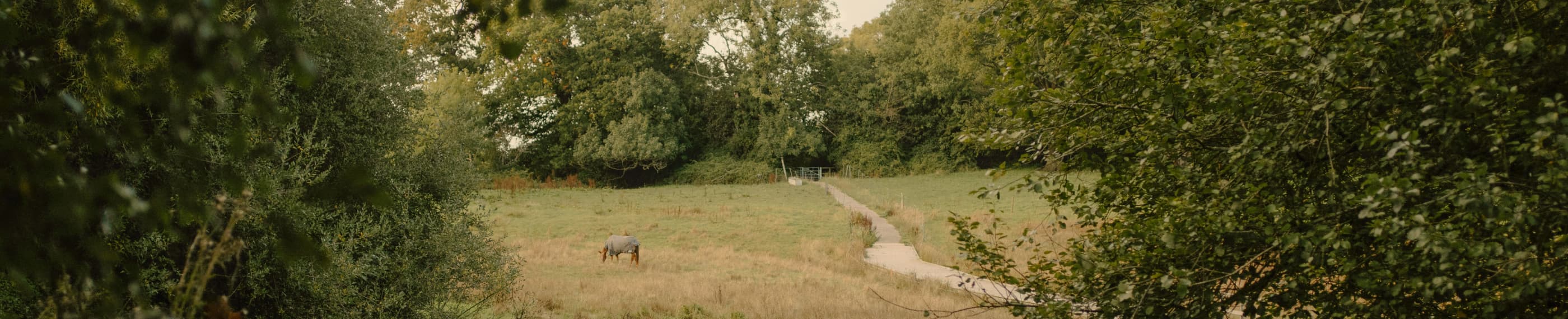 イエスに誉れを