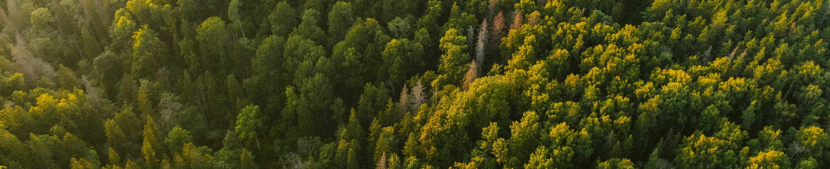 和解とへりくだり