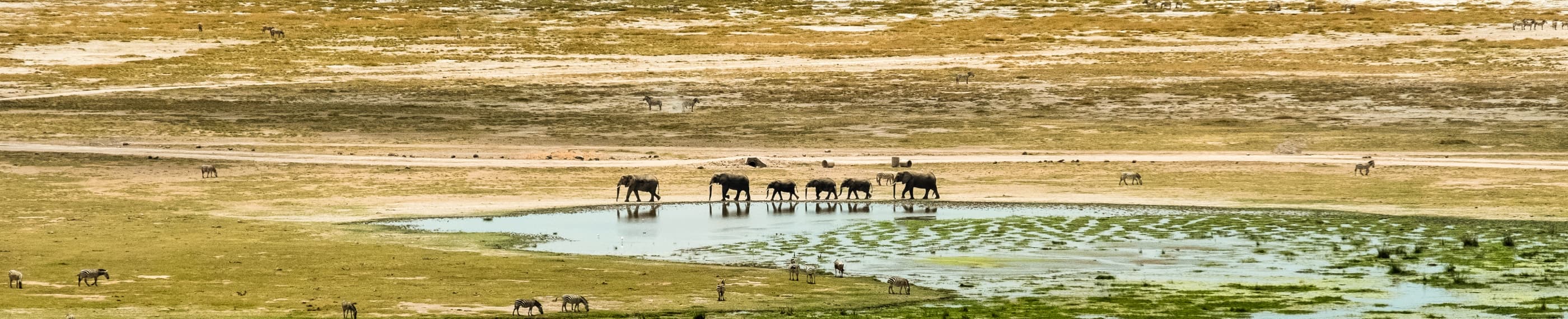 イエスが指導者
