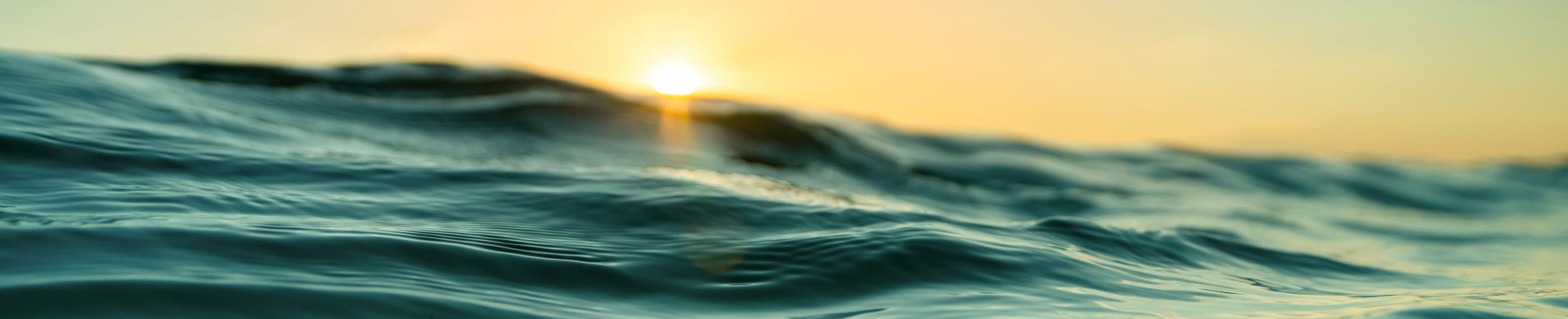 謙虚なリーダー