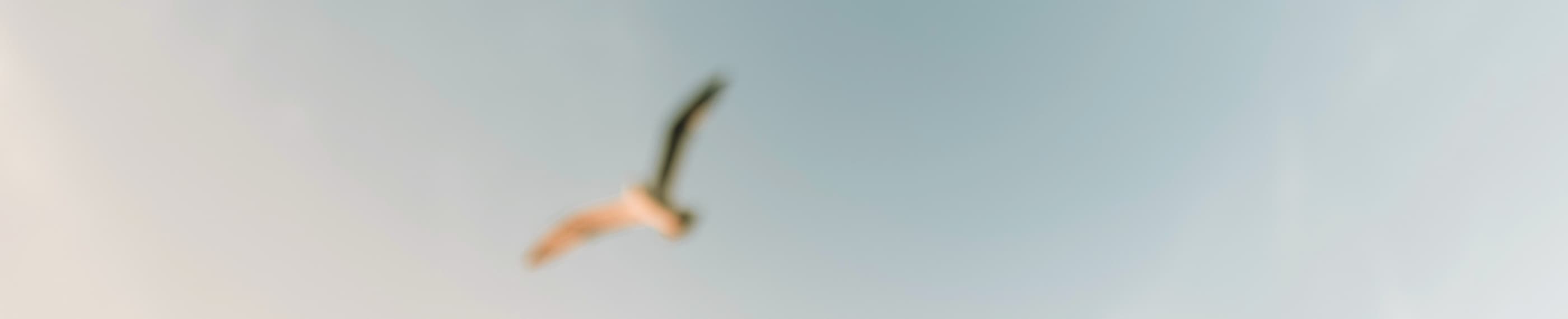 苦しむ人と共にいる