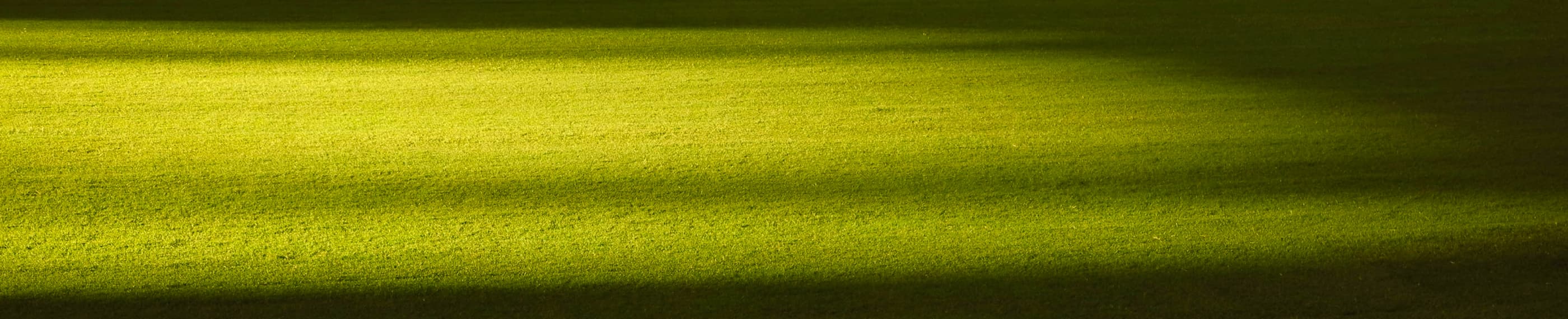 キリストの光となる