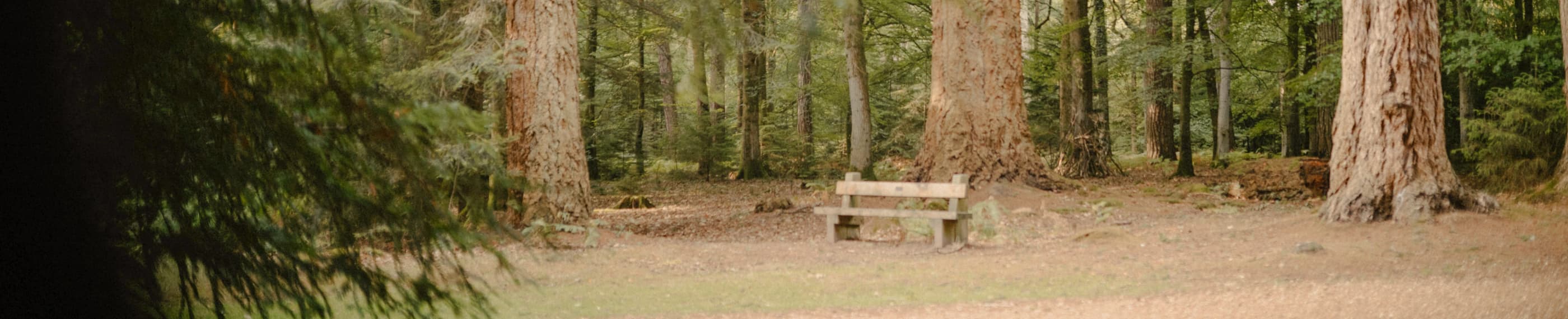 共に生きるために造られた