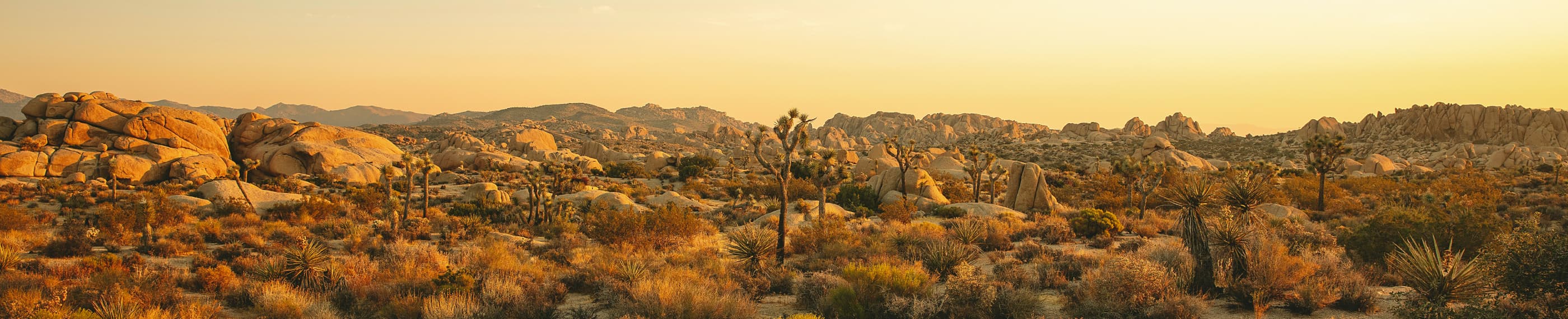 神の臨在を想起する