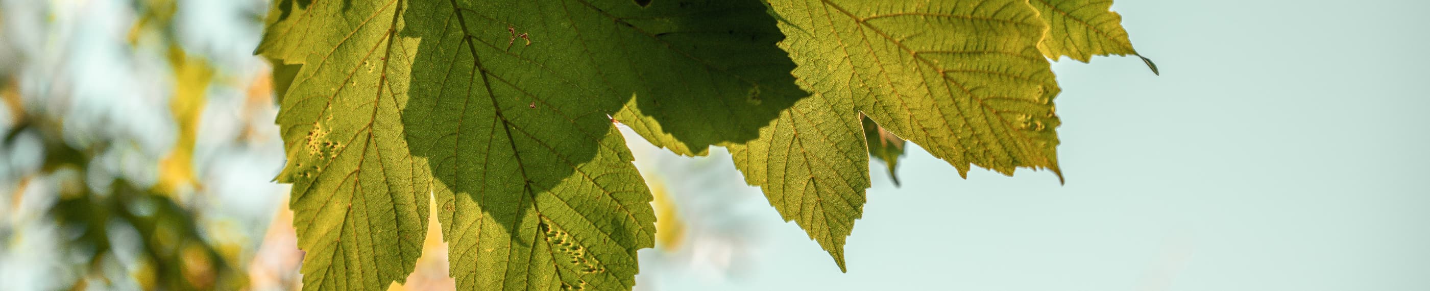 細部におられる神