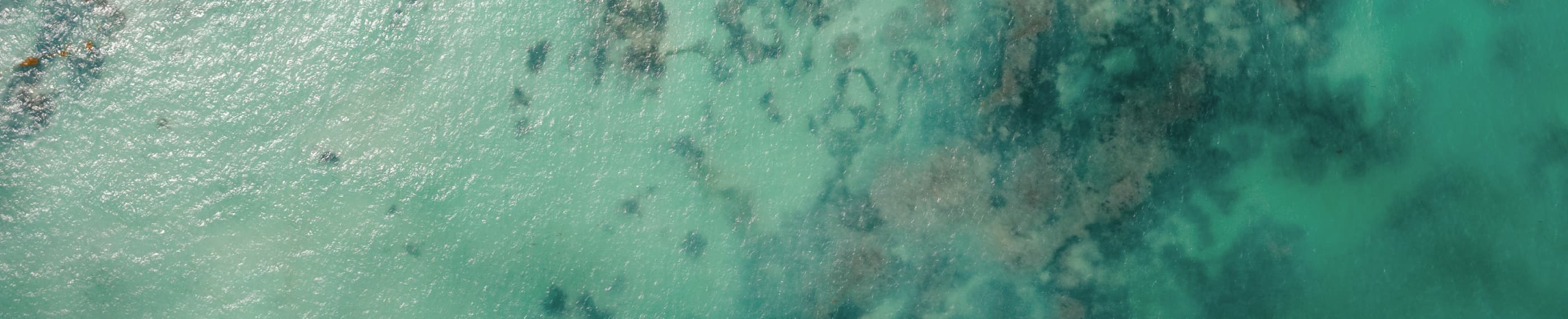 சங்கீதம் 72 தலைவர்கள்