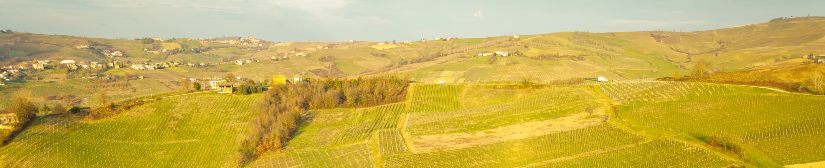 Melayani Tuhan Kerana Kasih