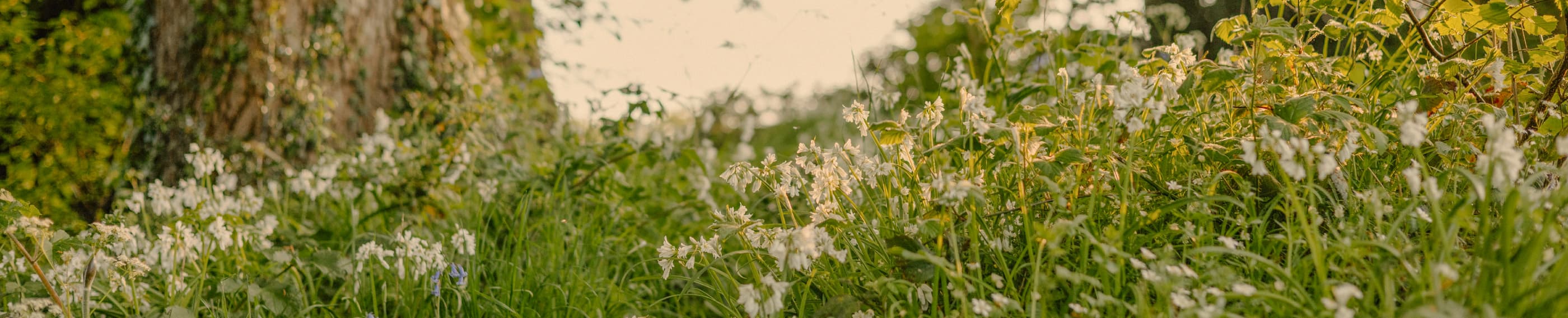 Pentingnya Bertanggungjawab