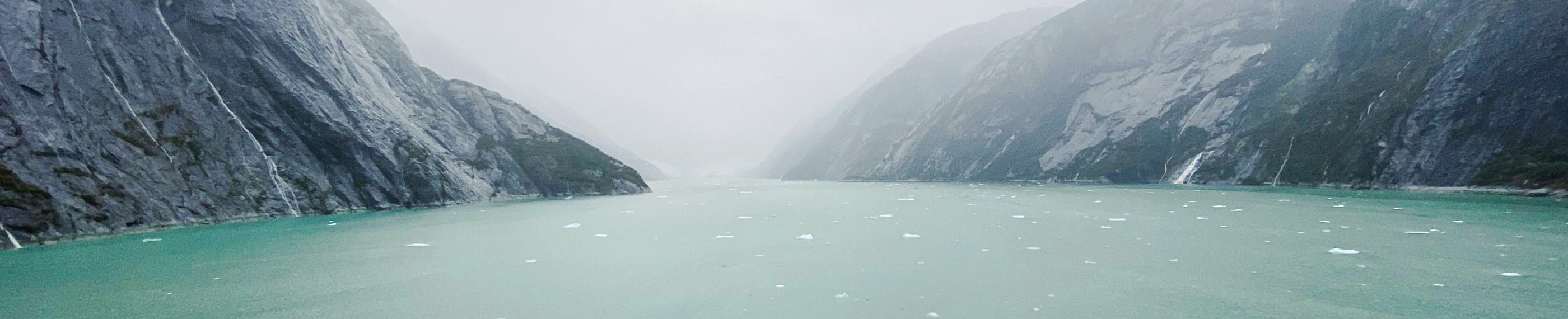 Pengorbanan yang Rendah Hati