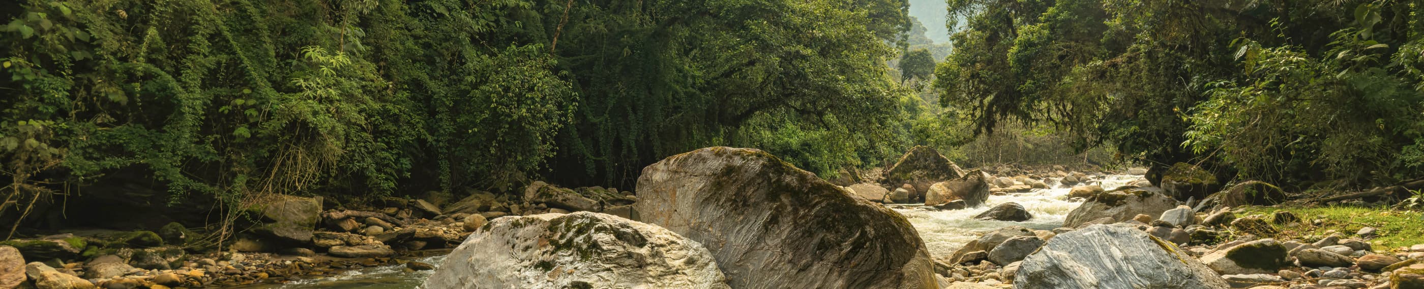 Dulu Hilang, Kini Ditemukan