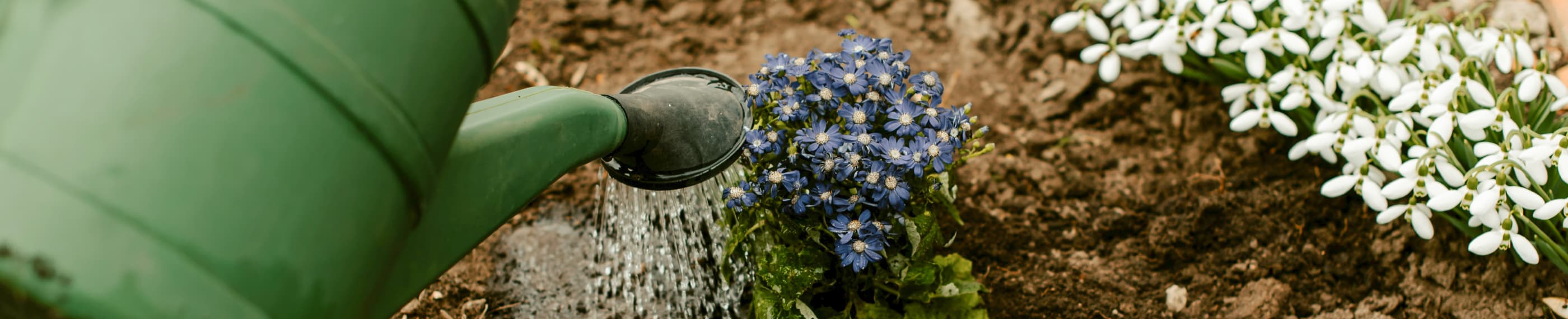 Melayani Seperti Kristus