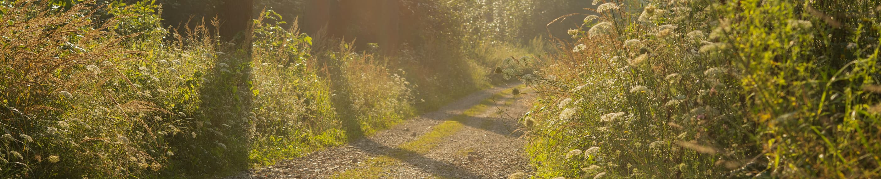 Dalam Pandangan Tuhan