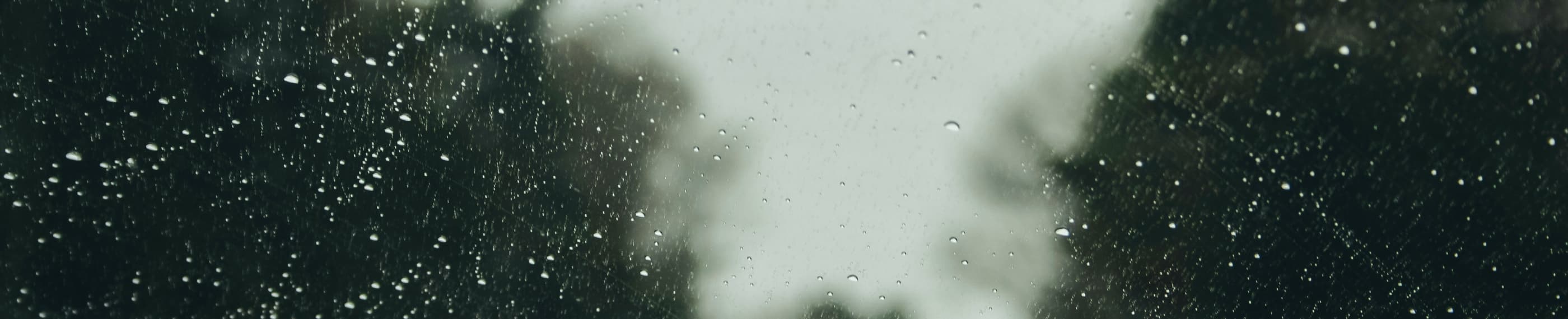 Love That Goes the Distance