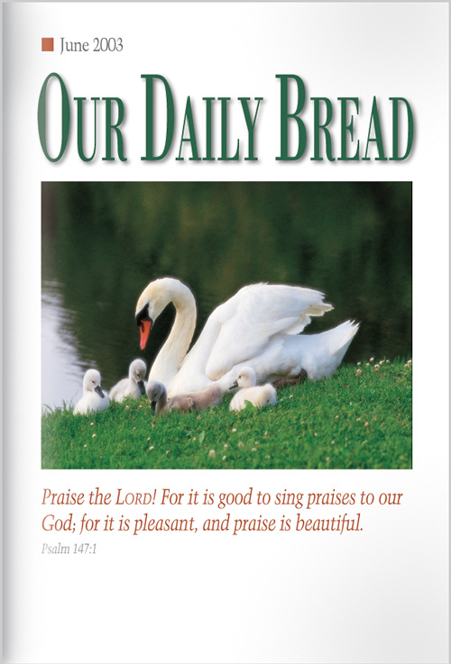 Mary's Little Lamb  Our Daily Bread Ministries