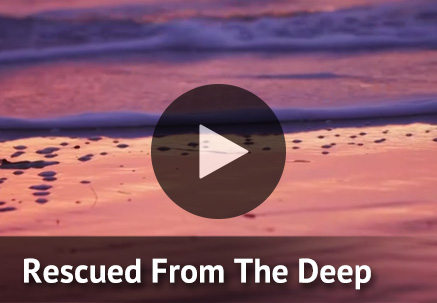 Rescued from the Deep