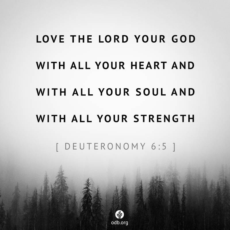 shareodb20160216 Our Daily Bread