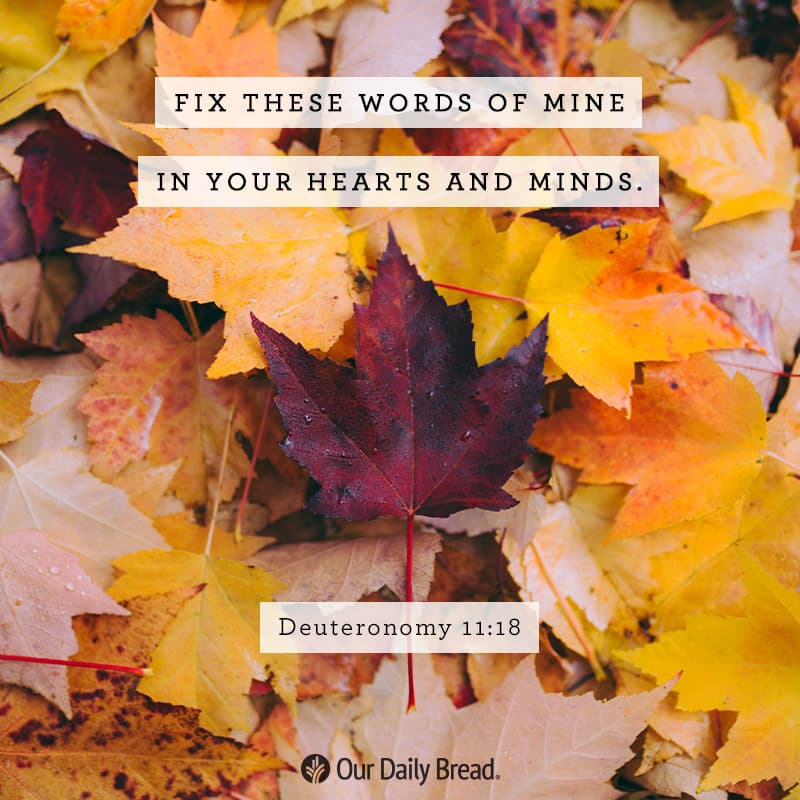 Share ODB 2019-11-24 Share ODB 2019-11-24